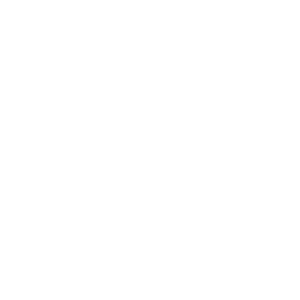 Finding Wellness Logo
